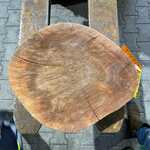 Rosewood Schijf, Dikte 70mm, Ø 400mm